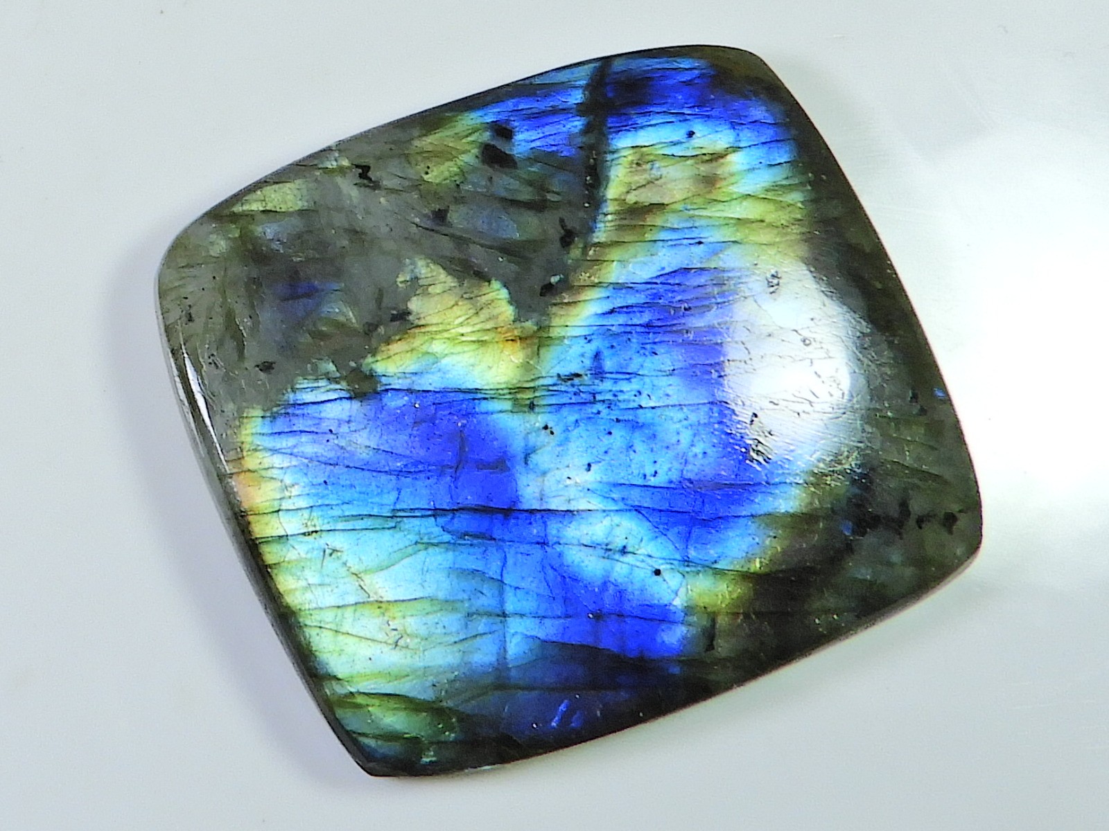 101Cts.Natural Labradorite Multi Rectangular Cabochon Loose Gemstone 34X39MM