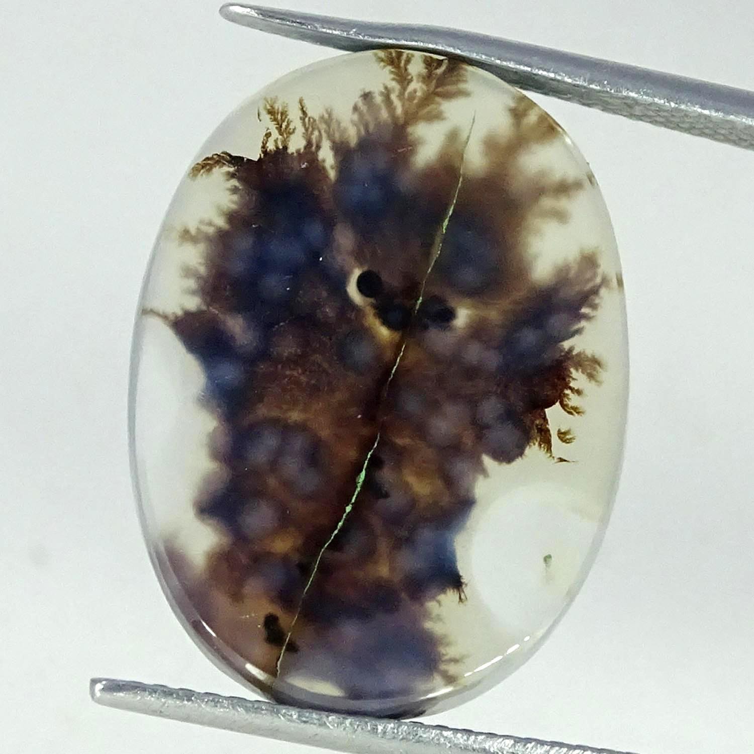 10.40Cts Superb Natural Shazar Dendritic Agate Oval Cabochon 16X22X3MM