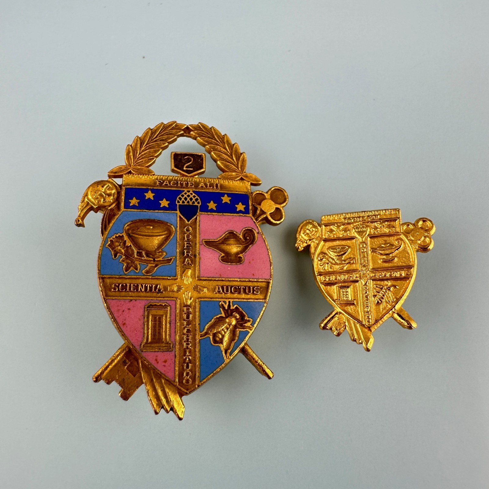 Vintage Coat of Arms Pin Lot Gold Tone Facital Scientia Auctus Opera Pulchritudo