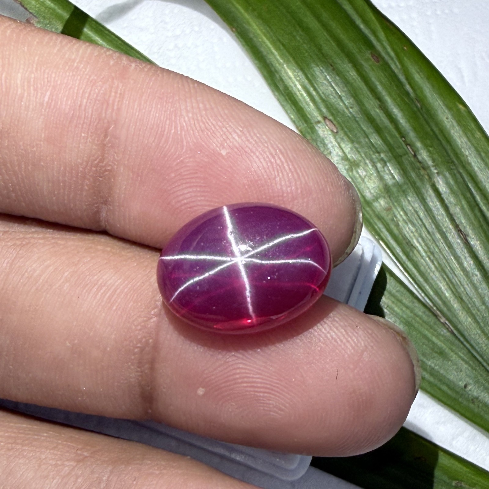 Certified 14.95 Ct Natural Vietnam Star Ruby 16.1×12.3 mm Oval 6-Ray Gemstone