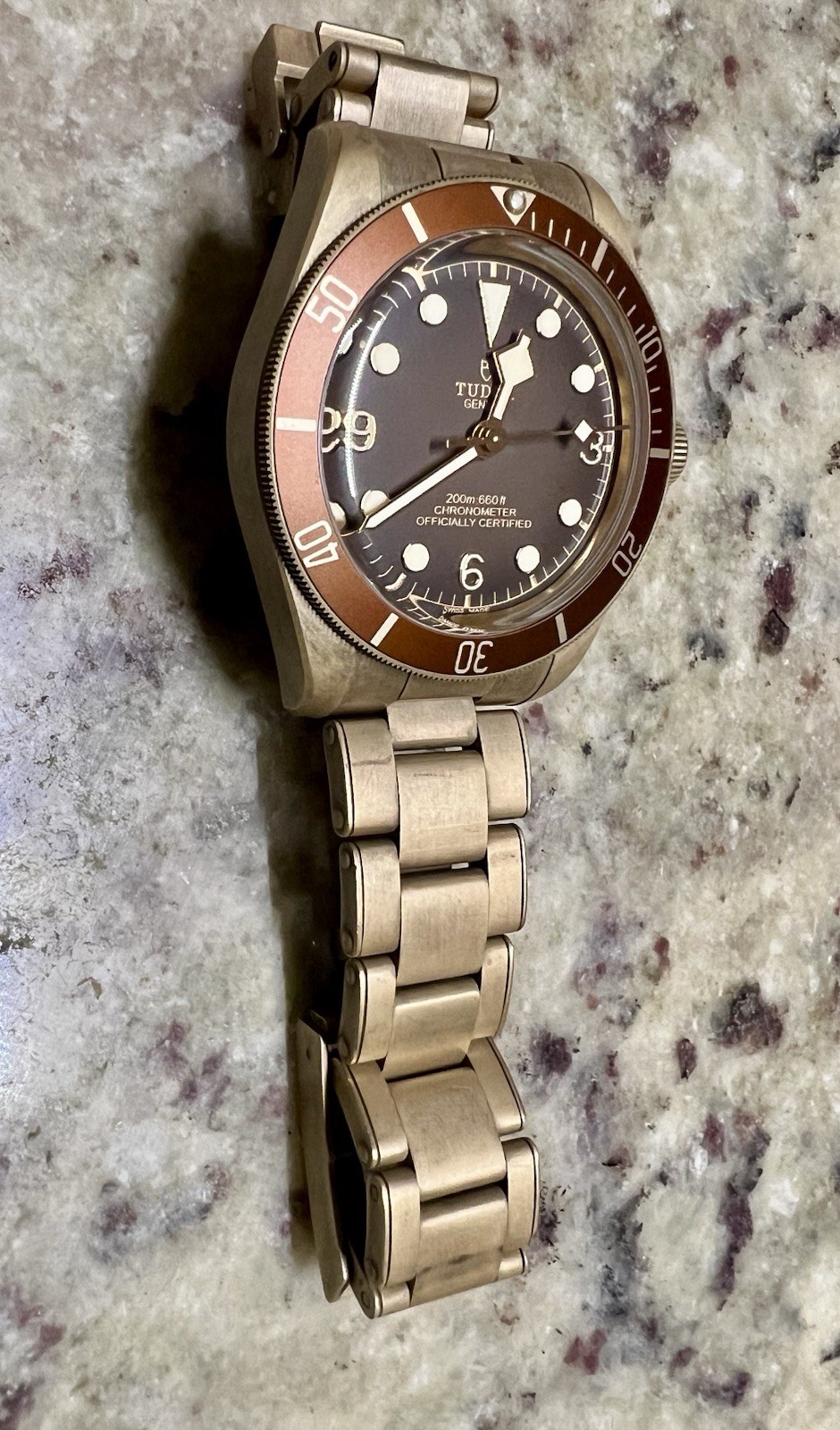 TUDOR Black Bay Bronze 39mm Boutique Edition Brown Dial/Bezel Auto Full Set