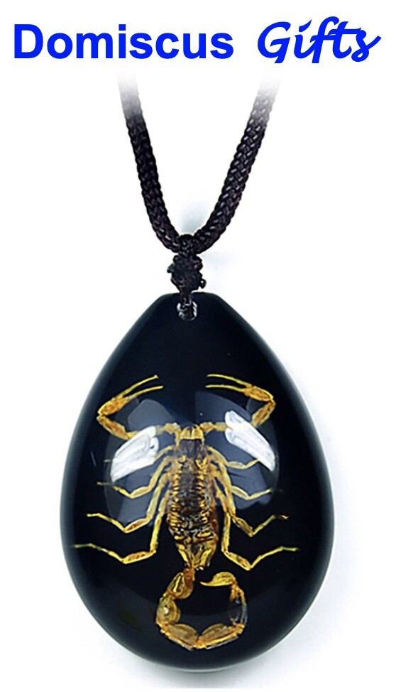 New! Real INSECT LARGE Brown SCORPION NECKLACE Teardrop Jewelry BLACK PENDANT
