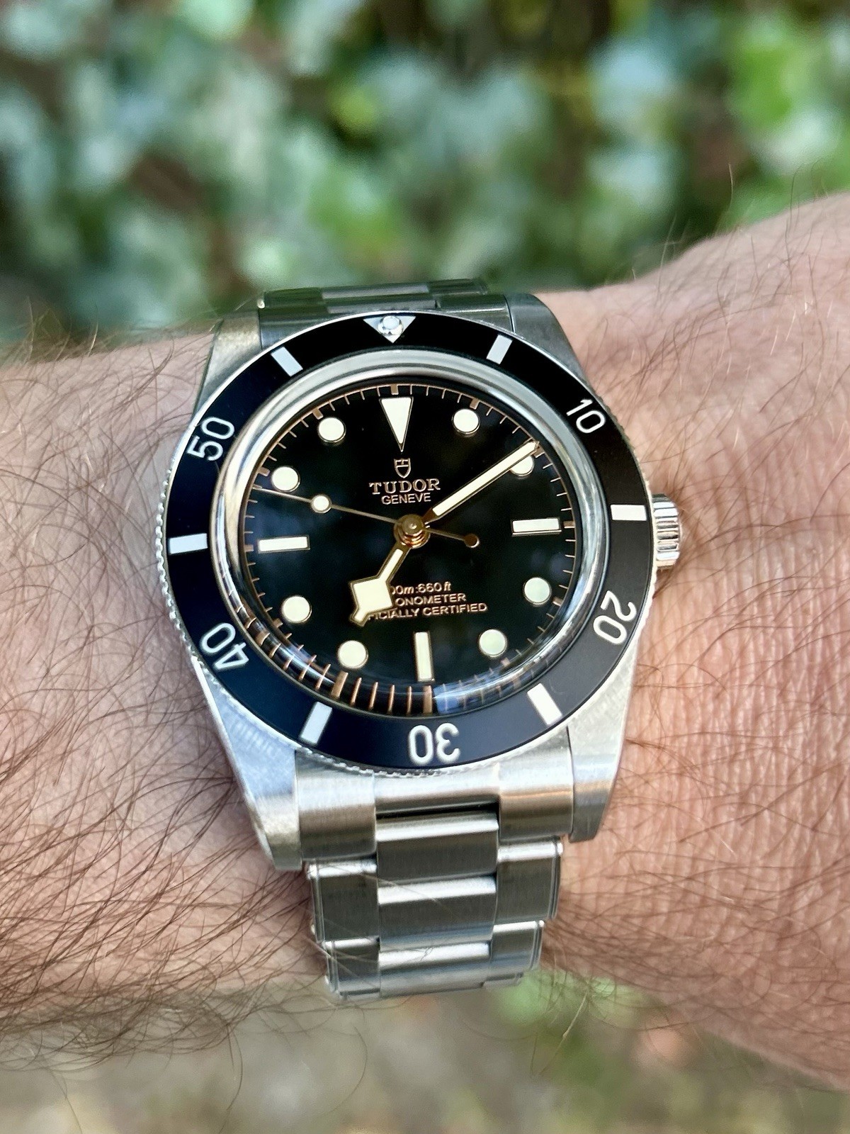 TUDOR Black Bay 54 M79000N-0001