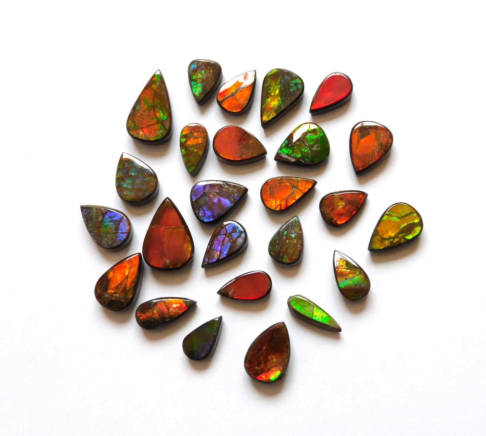 113.65 Cts Natural Ammolite 25 Pcs Lot Loose Cabochon Gemstone CN04