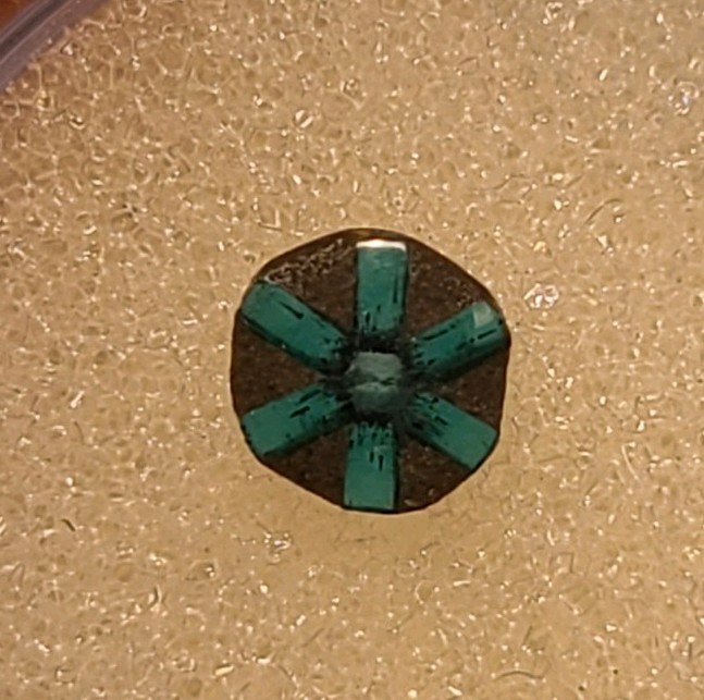 EXTREMELY RARE Tripache Emerald From Colombia 0.26 ct with unique spokes