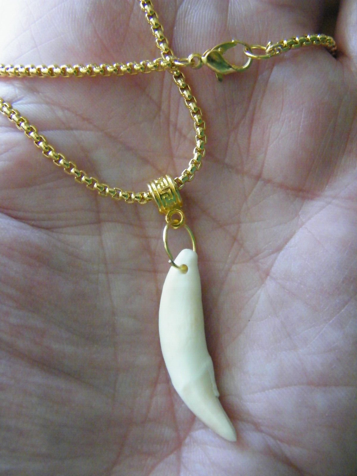 COYOTE Tooth Necklace 1 1/2″ White REAL Teeth 18kt Gold Plate Box 25″ Chain NEW!