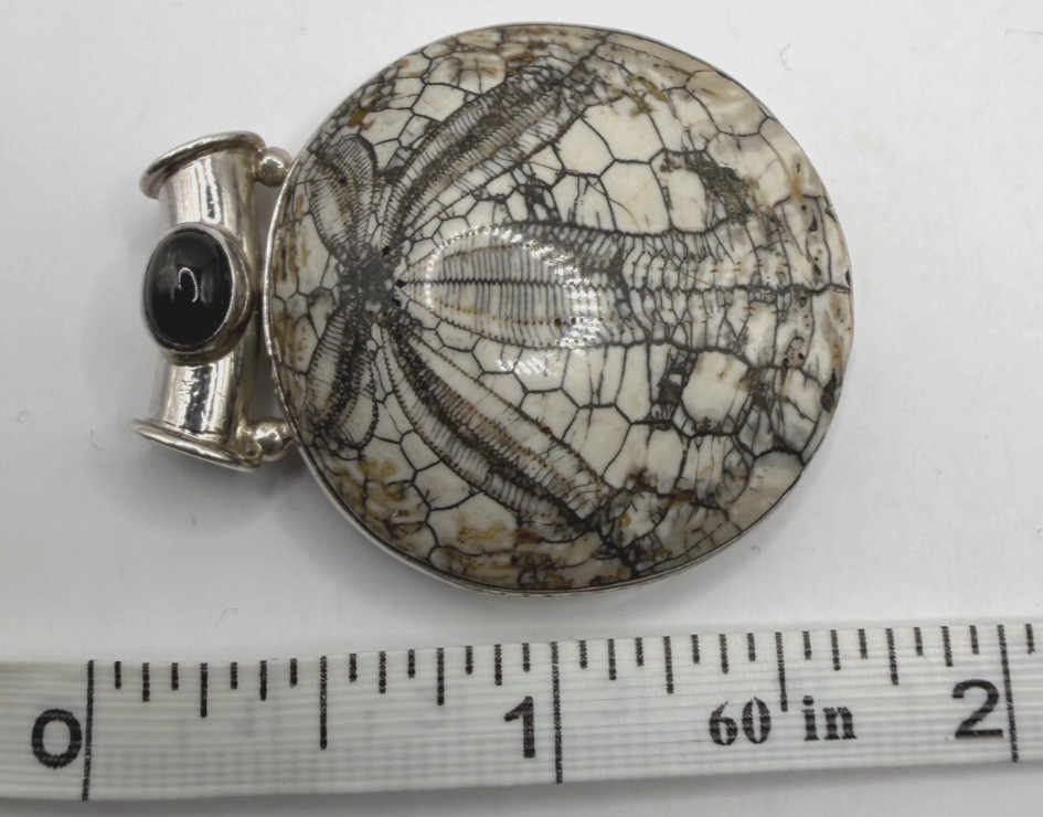 SAJEN Sterling Silver Fossilized Sand Dollar Circle Pendant w/ Onyx [076DUR]