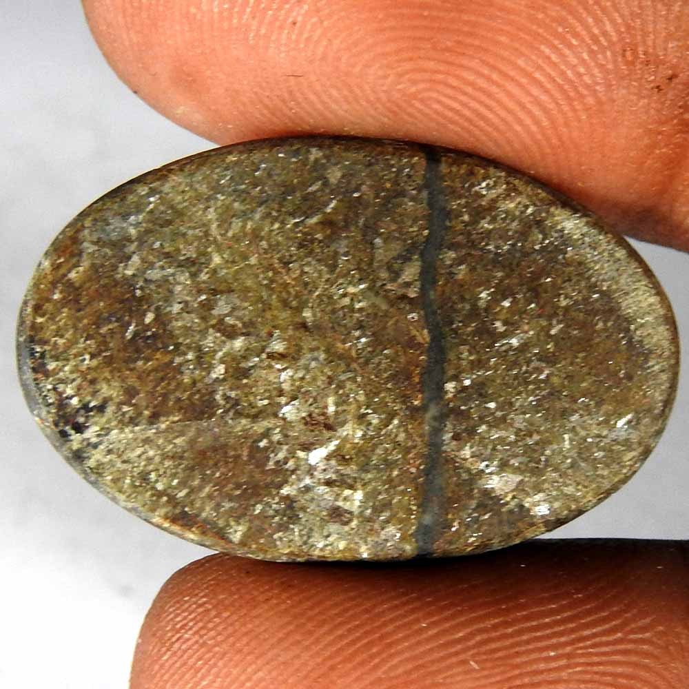 AA+ Natural Bronzite Pear Cabochon 20.50 Cts Loose Gemstones 28x18x4 mm