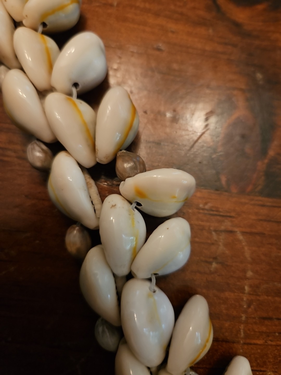 Natural SeaShell Necklace Beach Nautical 24″ ~ Preowned With A Couple Defects