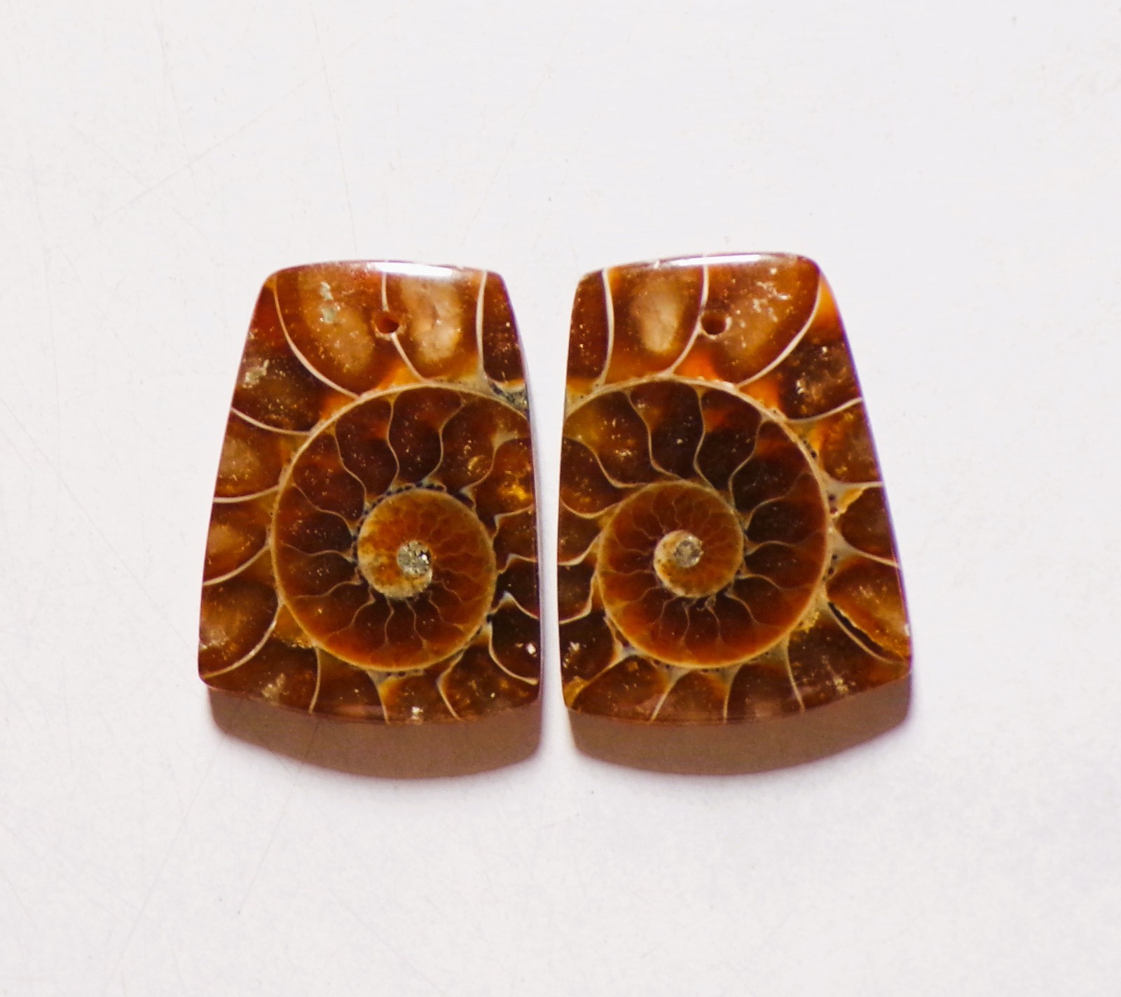 50.00 Cts Natural Ammonite Drilled Cabochon Match Pair Gemstone 27X20MM 176