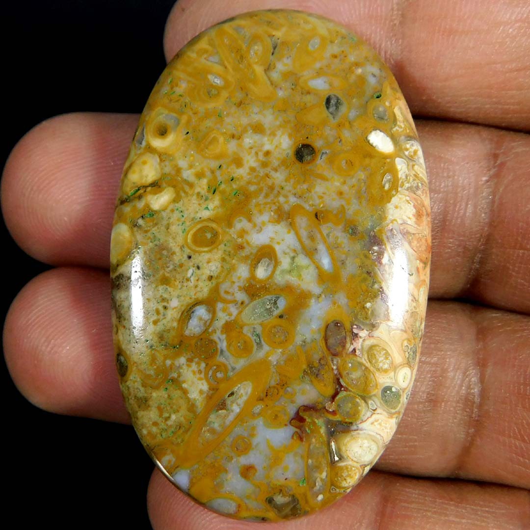 Natural Gorgeous Palm Root Agate Oval Cabochon 66.10Cts. Loose Gemstone