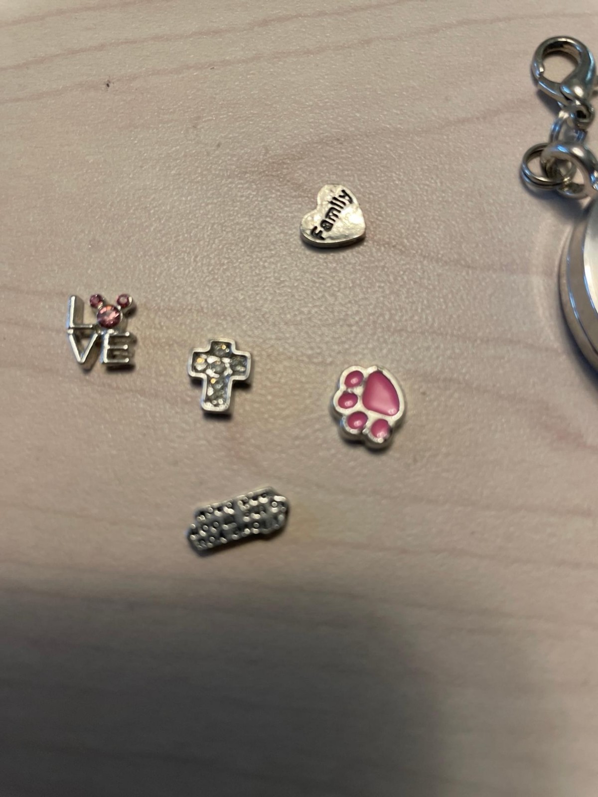 Charm holder Pendant. & 5 charms