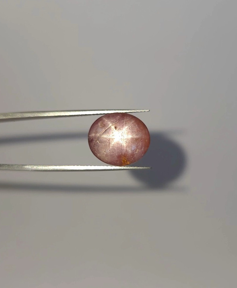 Natural 11.70 ct Translucent Star Sapphire Brown Oval Cabochon loose gemstone