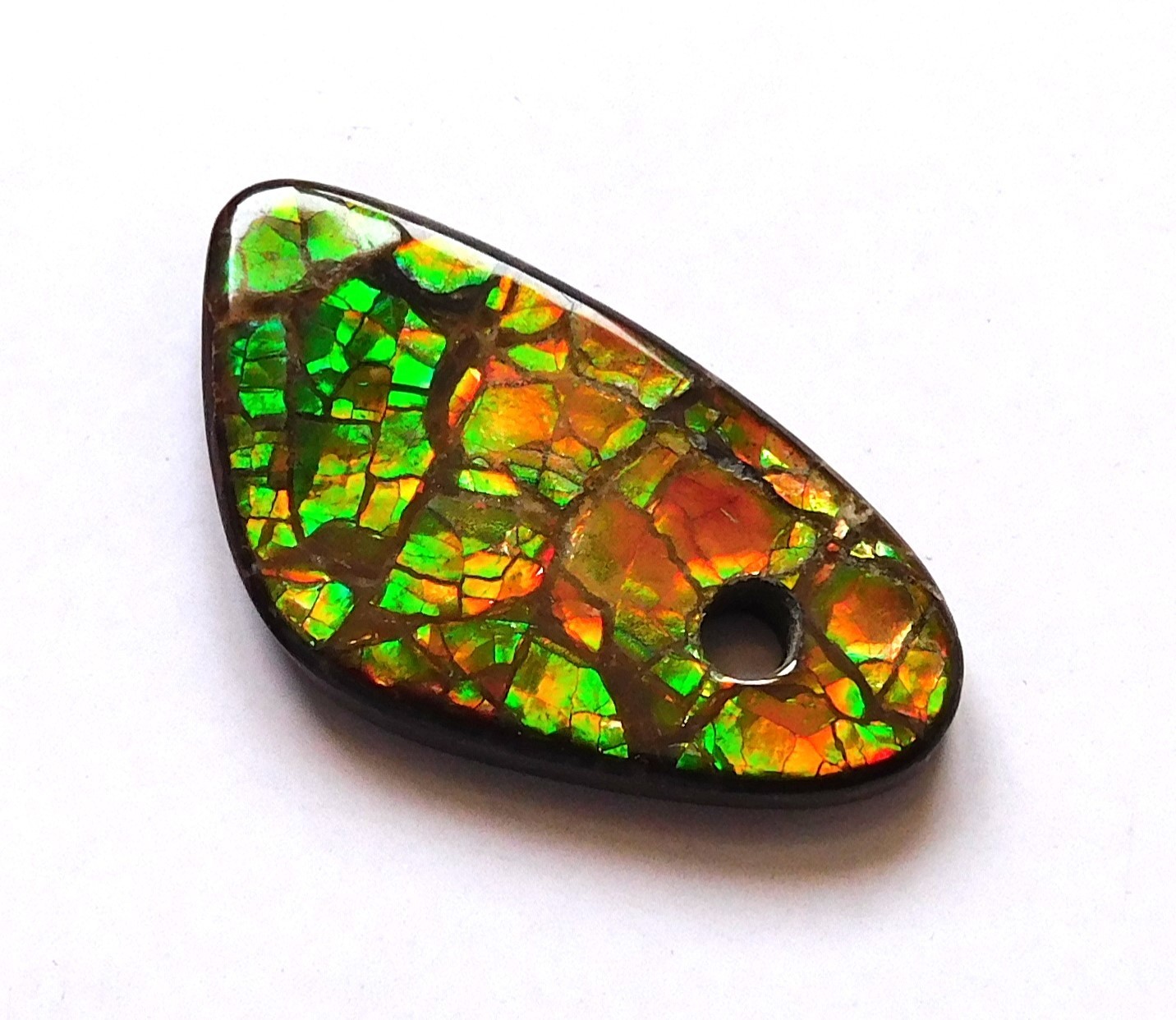 20.50 Cts Natural Canadian Ammolite Donut Gemstone 29.9X15.8X4MM LH16