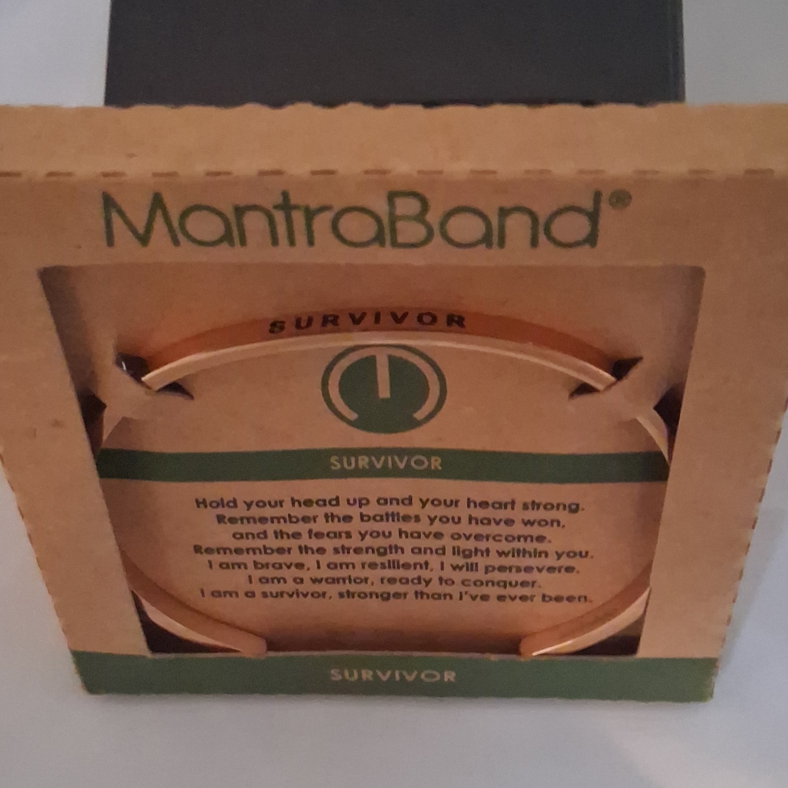 MantraBand Survivor Gold Stainless Steel Adjustable Engraved Bangle