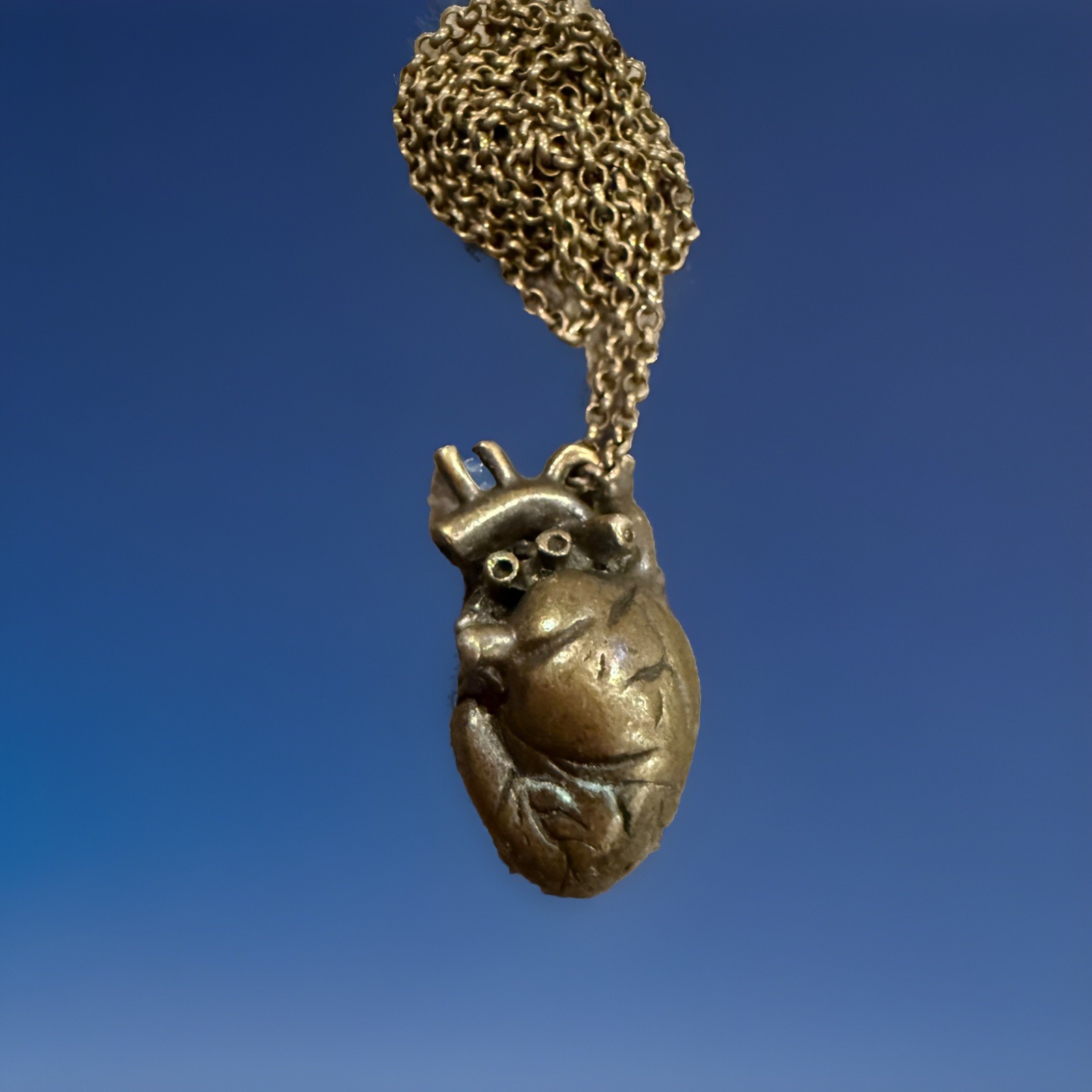 Necklace Heart Anatomical Pendant Necklace Stainless Steel(?) Bronze (?)