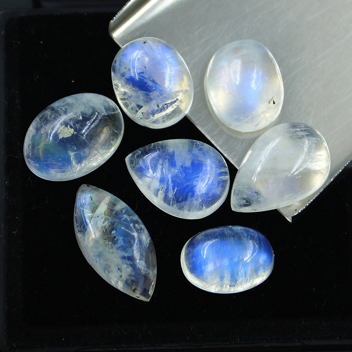 7 Pcs Natural White Labradorite AAA Quality 11.8mm-17.4mm Cabochon Gemstones Lot