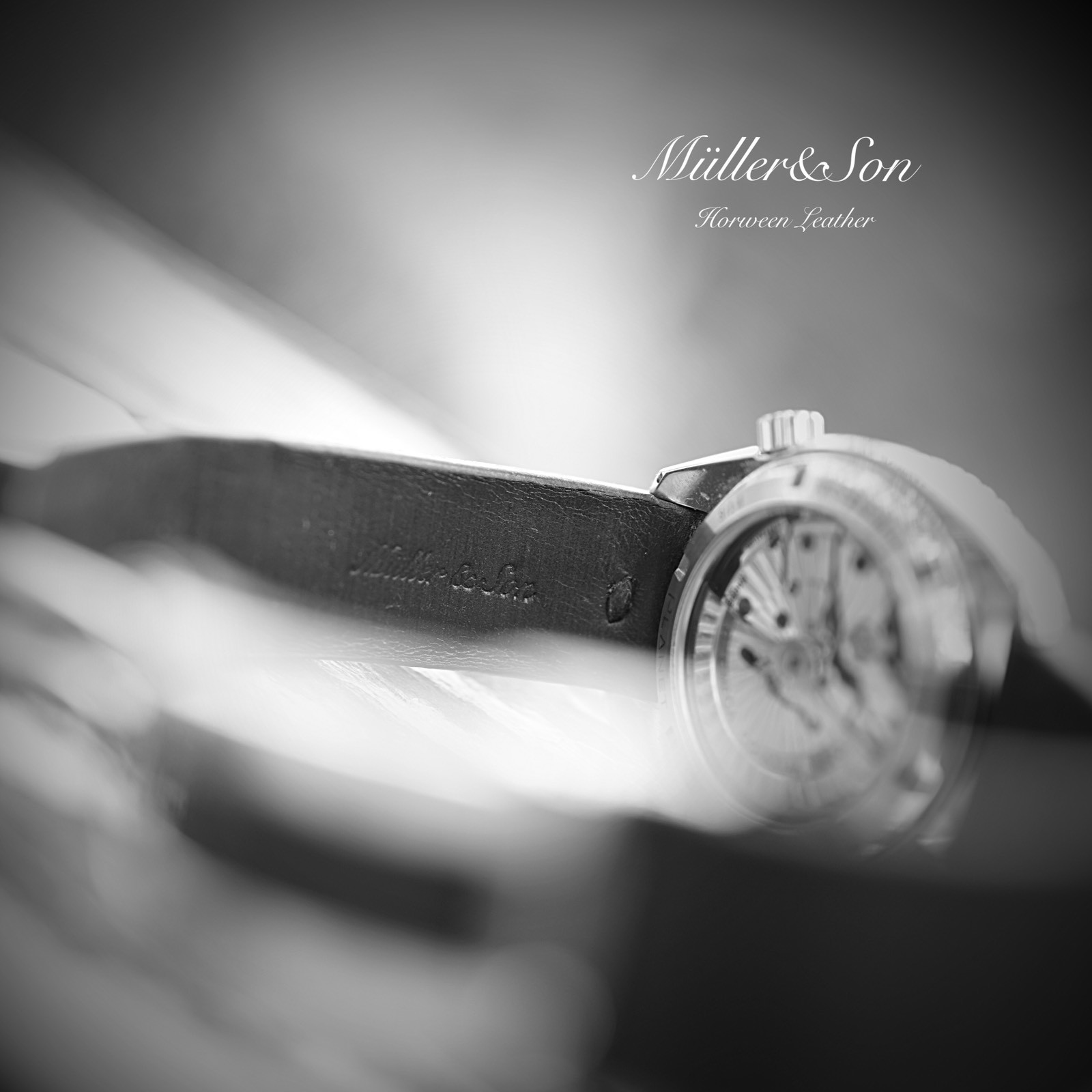 Müller&Son Horween Leather 20mm Black Watch Strap for Omega with “Snake Bites”