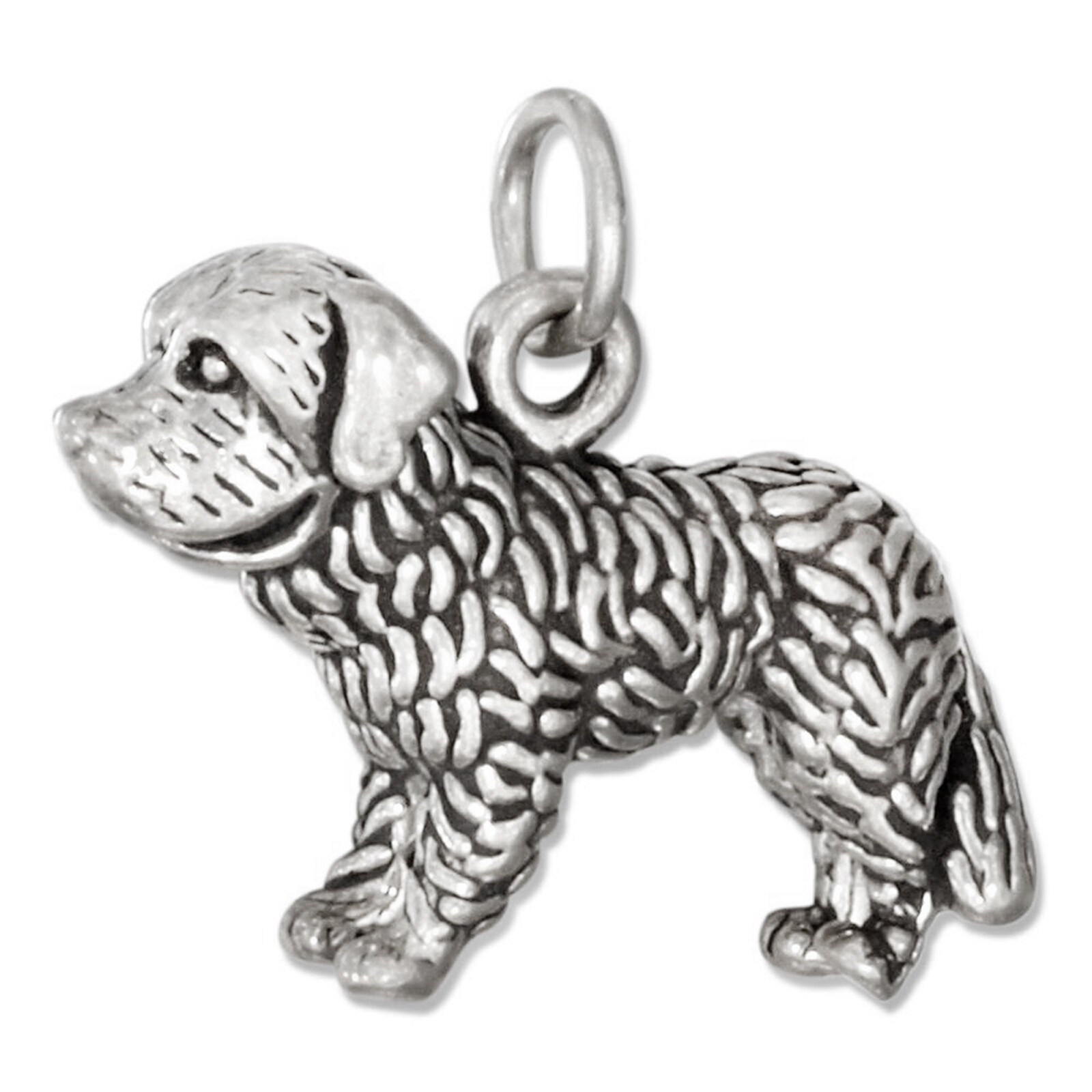 Saint St Bernard Rescue Dog 3D 925 Solid Sterling Silver Charm MADE IN USA