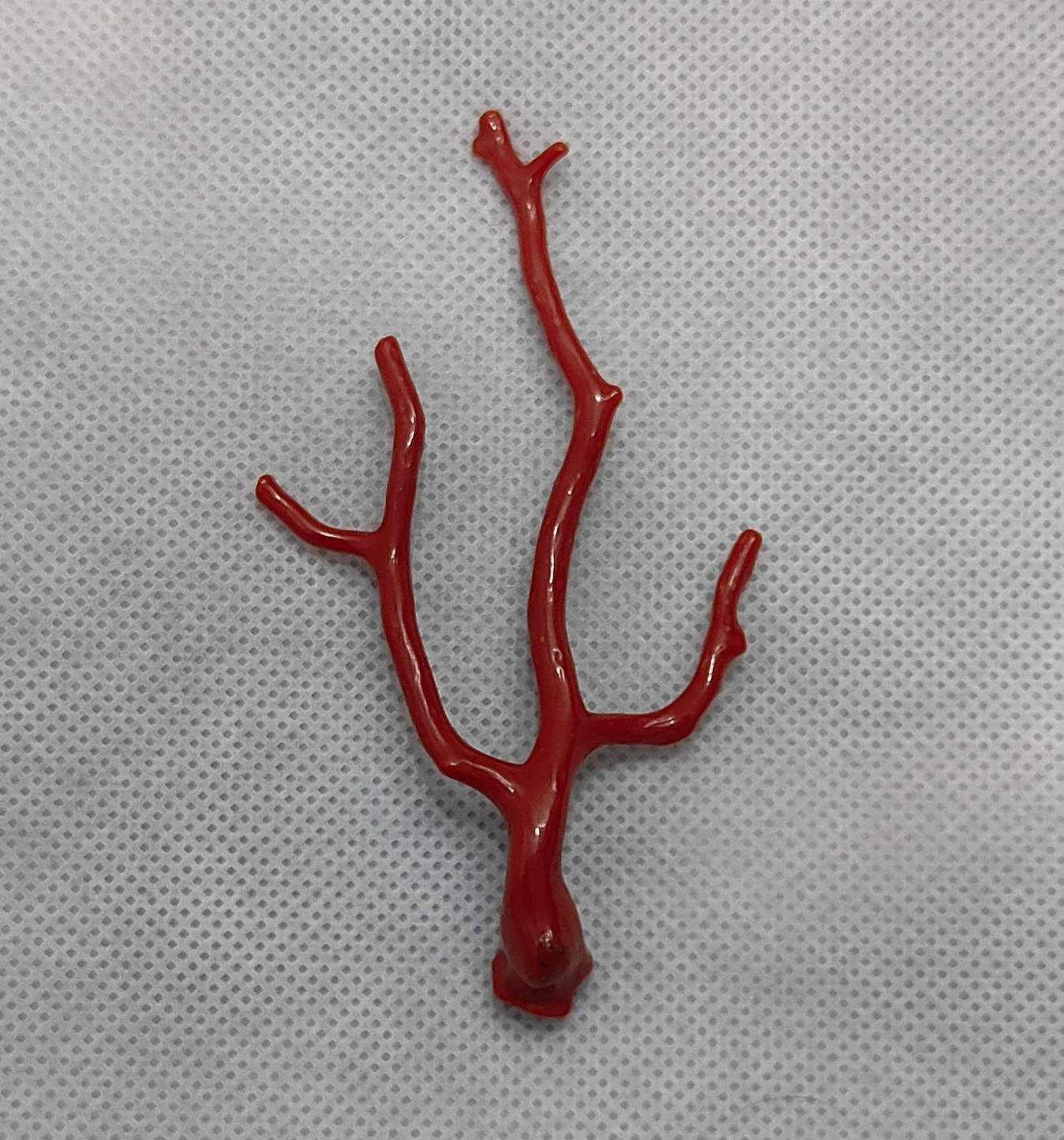 Top Quality Red Coral Tree Branch Gemstone-Mediterranean Red Coral Polish Branch