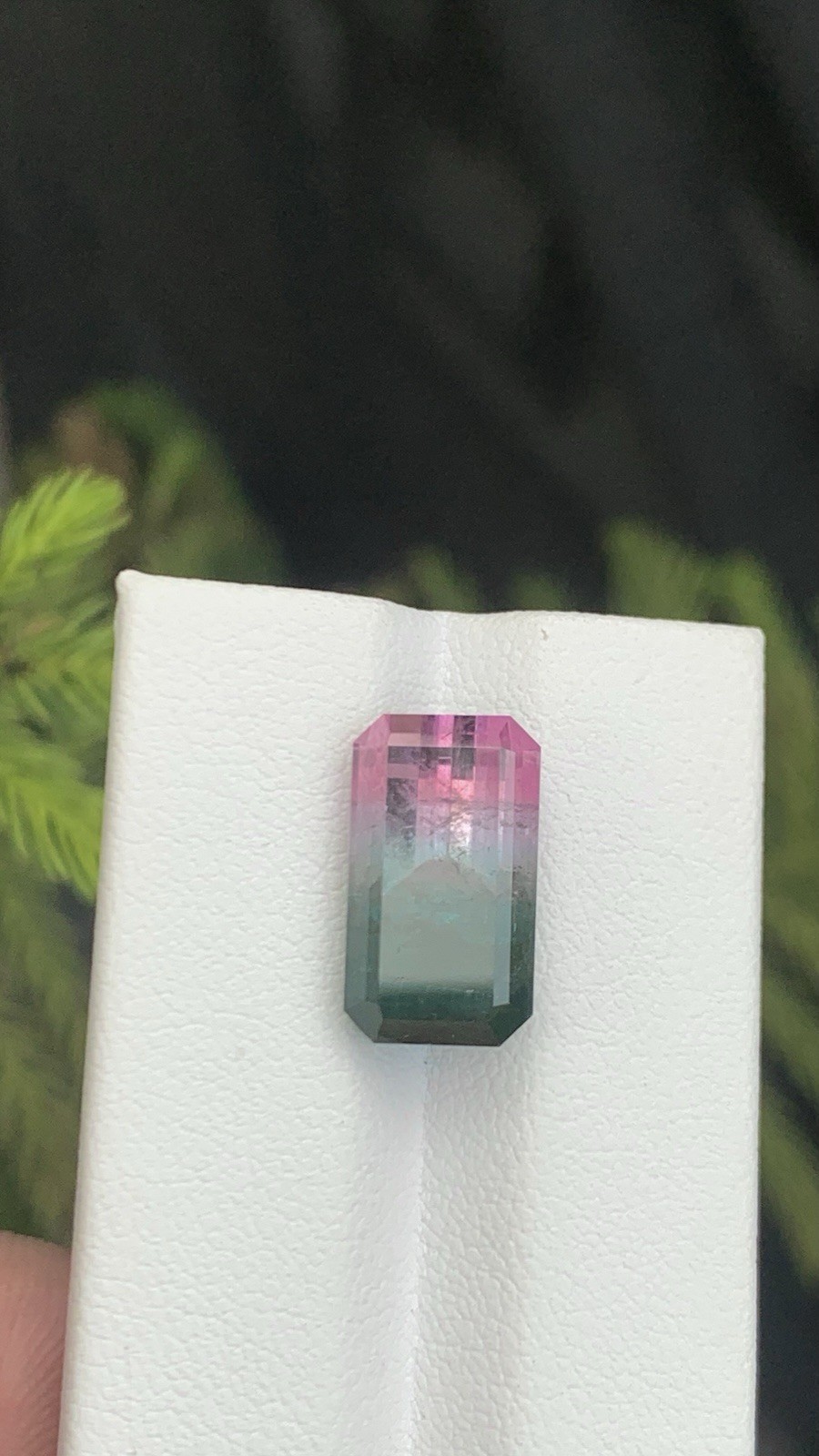 10.50 CRT Bi Tourmaline SetNatural Earth MinedUnheated Faceted