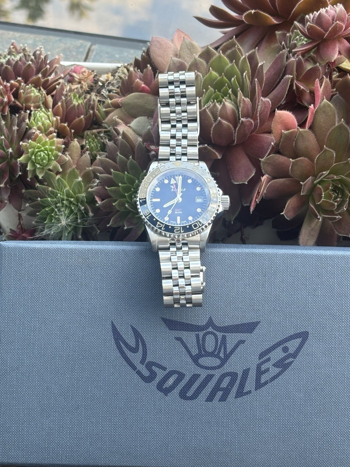 Squale 20 Atmos GMT Tropical, Ceramic Bezel, Black Dial Automatic, 40mm Watch