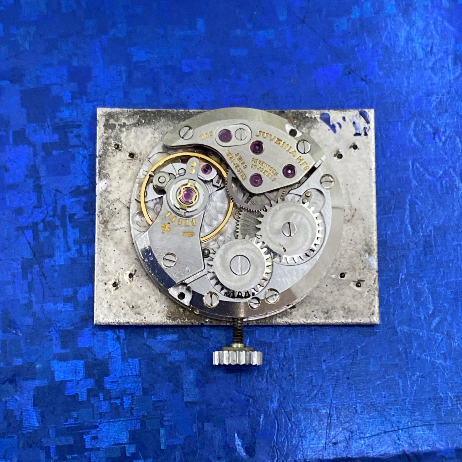 Exquisite Vintage 1960’s Swiss Made JUVENIA Stunning Dial Serviced & WARRANTY