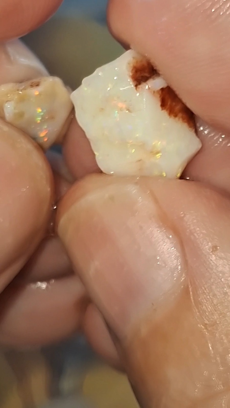 53ct Coober Pedy Opal rough. multicoloured multisized peices, good cutters