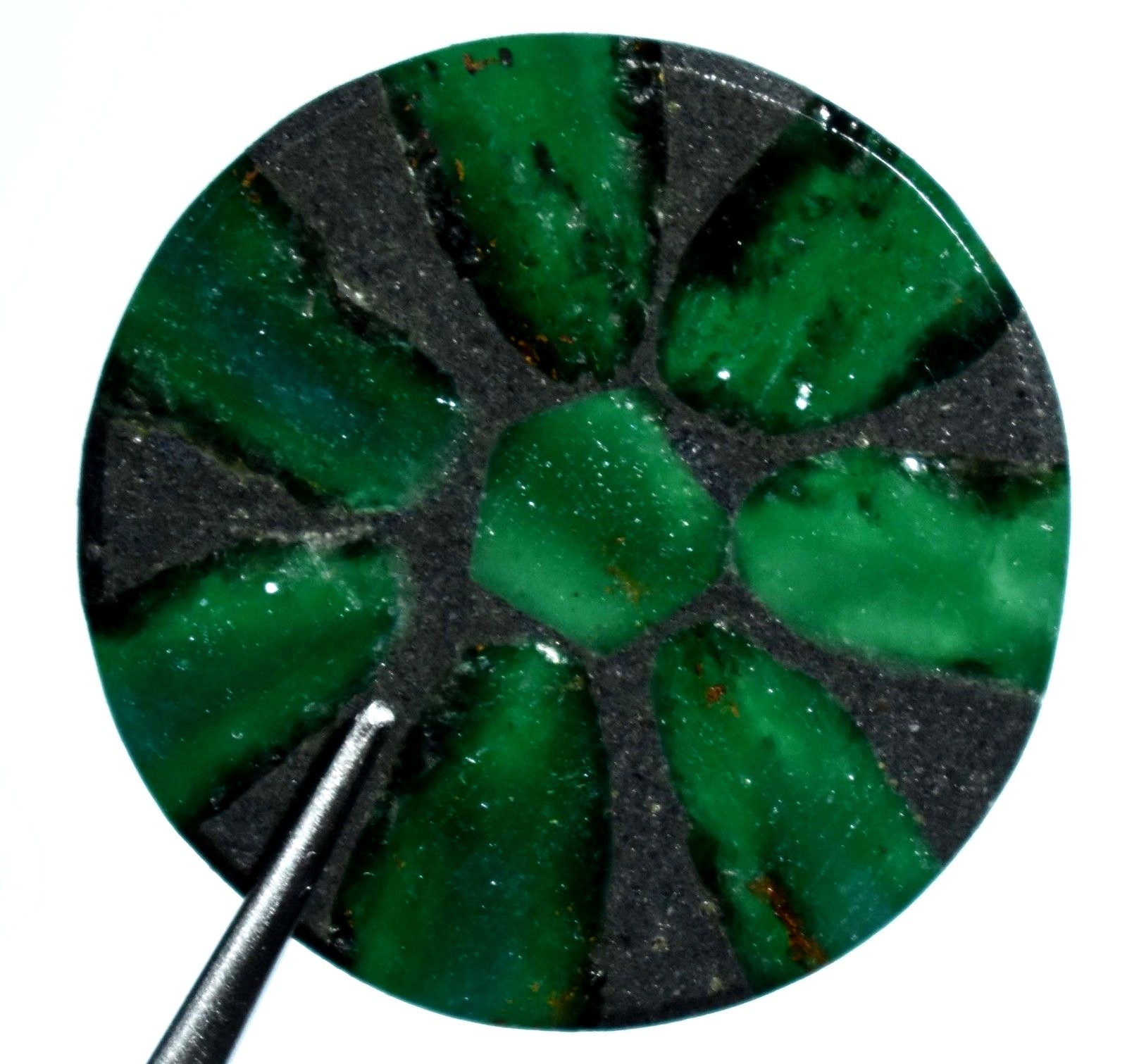 Big and RARE Natural TRAPICHE Emerald from Colombia 48.85 Ct AGSL Certified