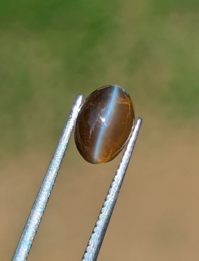 Natural Chrysoberyl Cat’s Eye 1.35ct Honey | Sharp Eye | Glass Body Ceylon