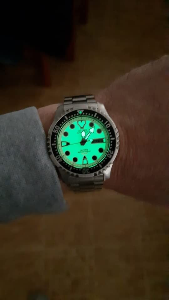 CITIZEN Promaster NY0040-50W Automatic Diver 200m Full Lume Men’s Watch Y864168