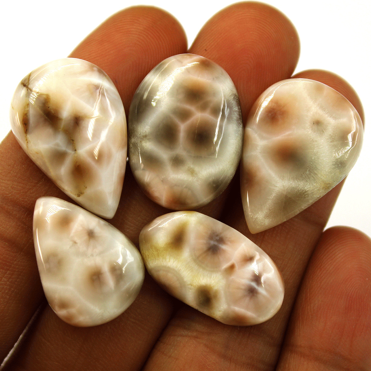 5 Pcs Natural Thomsonite AAA Quality Untreated 22mm-26mm Cabochon Gemstones Lot