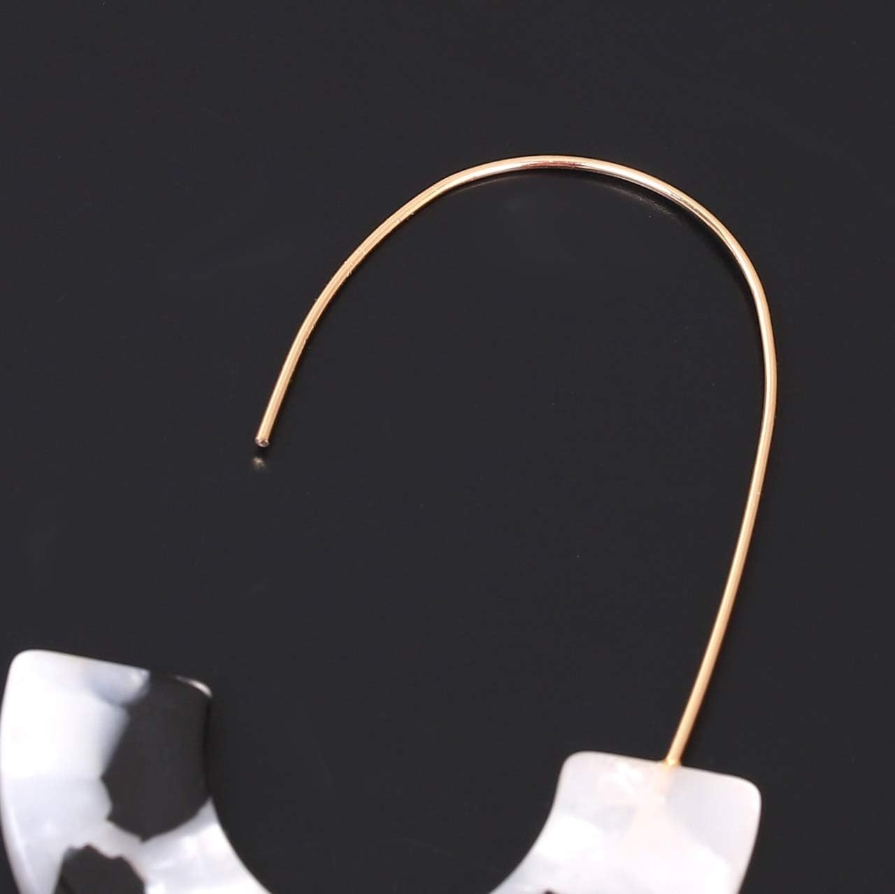 Acrylic Tortoise Hoop Earrings Resin Drop Dangle Fashion Jewelry