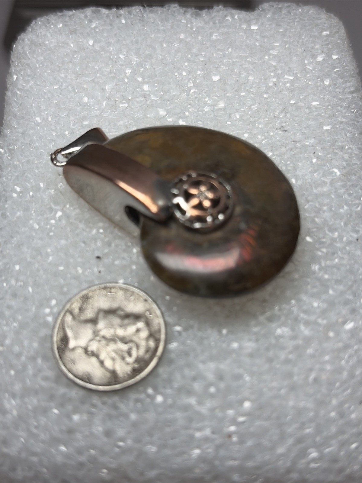 2” Fossil Rainbow Ammonite Pendant Set In Copper