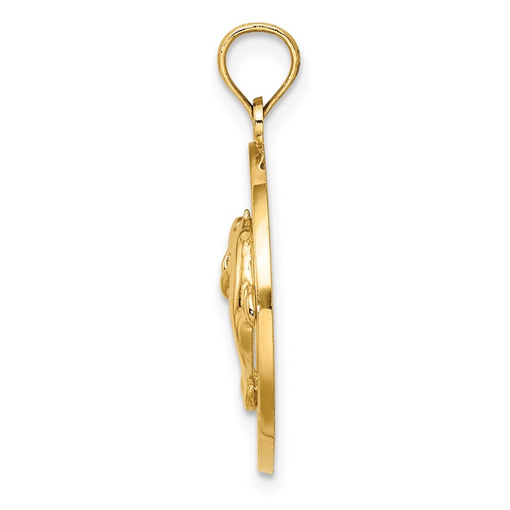 14k Yellow Gold FLORIDA With Dolphins Circle Charm Pendant L-24.7mm