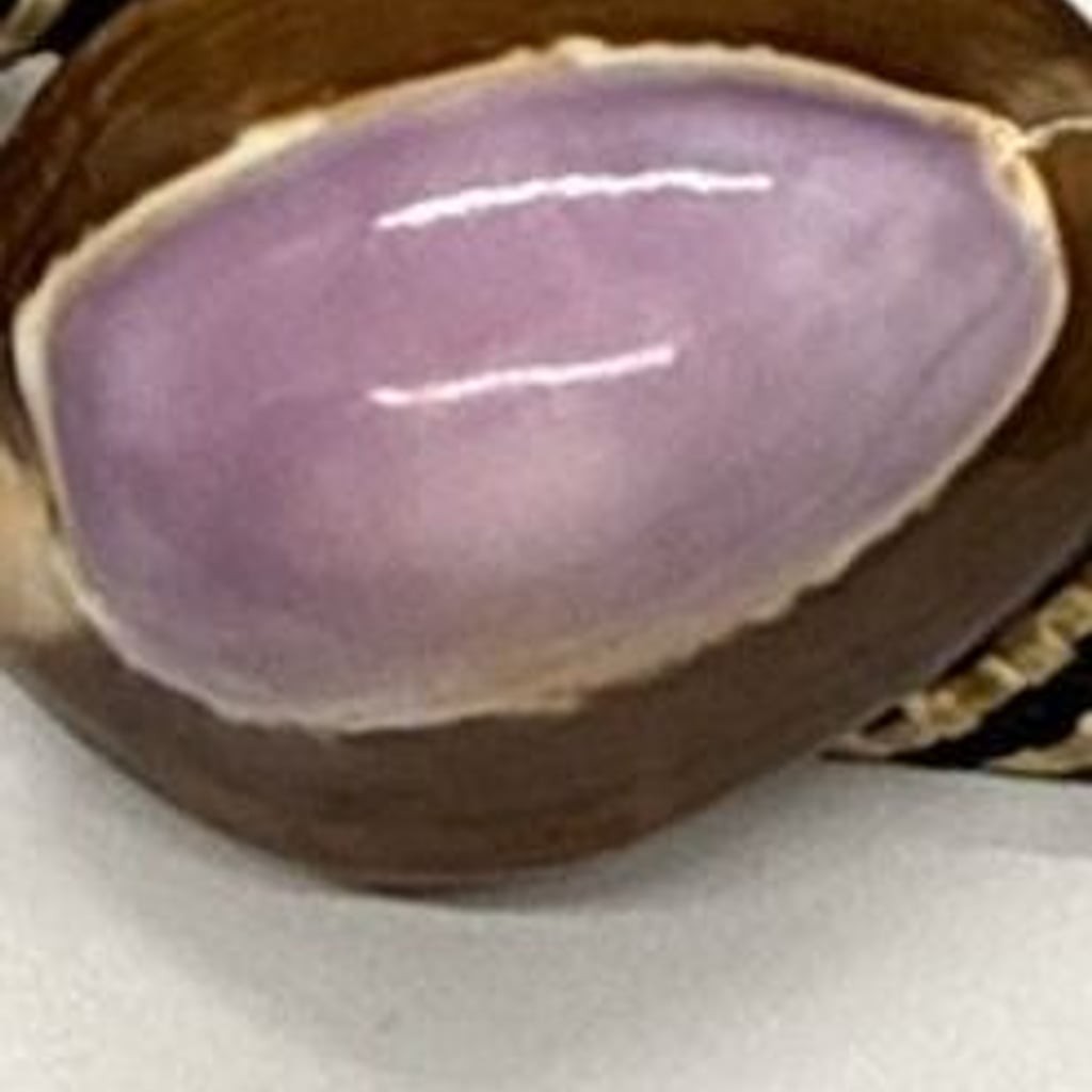 Handcrafted Purple Top Cowrie Shell Bolo Tie Braided Cord Metal Tips Coastal Vtg