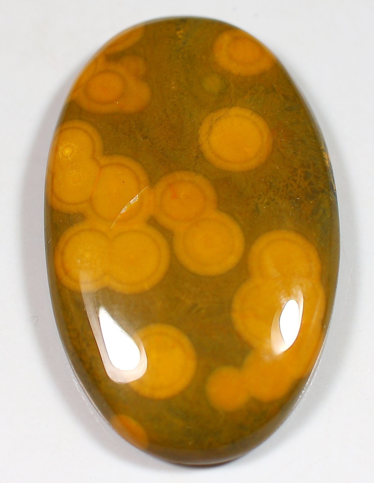 58 CT 6X25X40 mm NATURAL ORBICULAR OCEAN JASPER OVAL CABOCHON GEMSTONE CU-156