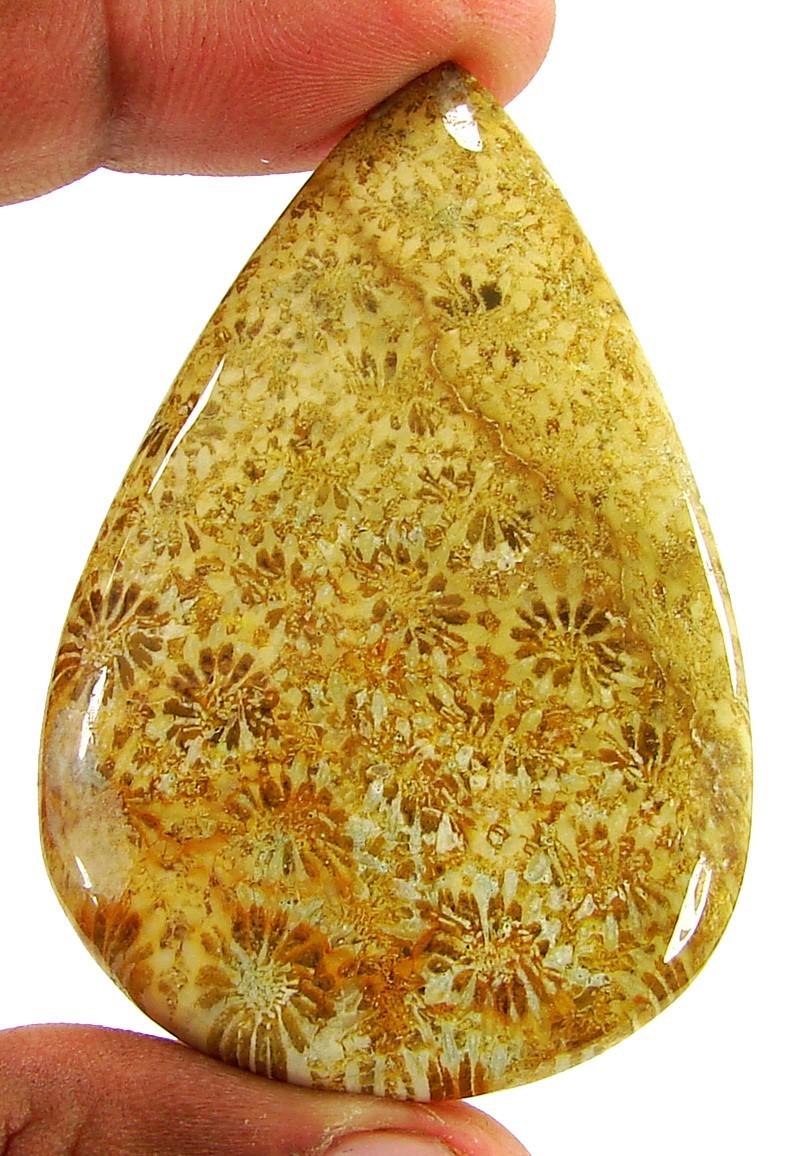 89.60 Ct Natural Fossil Coral Loose Gemstone Cabochon Wire Wrap Stone – 20726