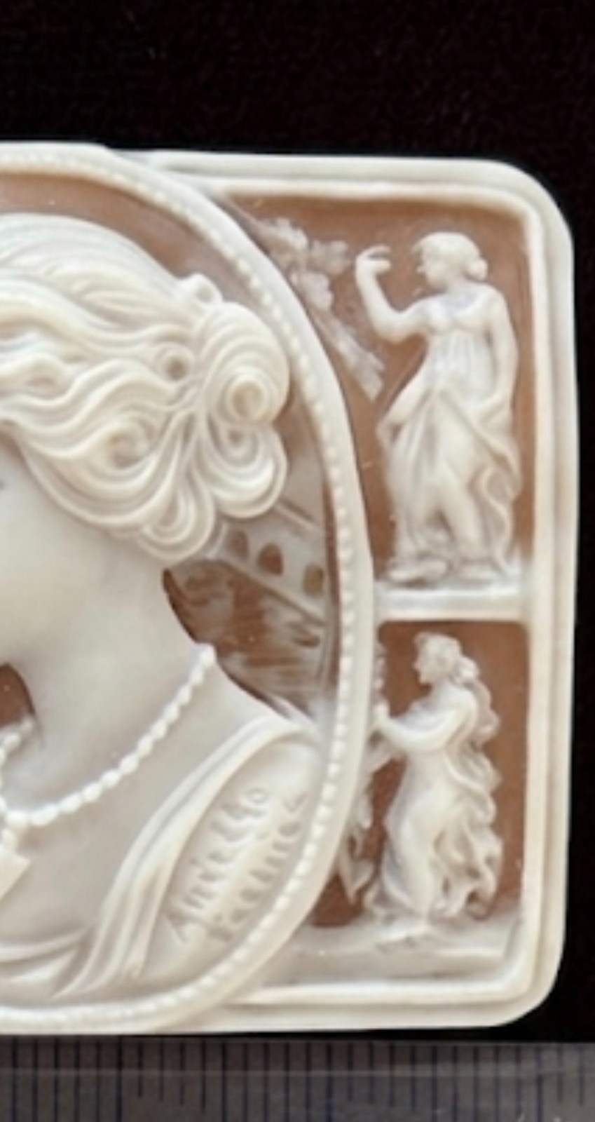 AMAZING SHELL CAMEO HANDMADE