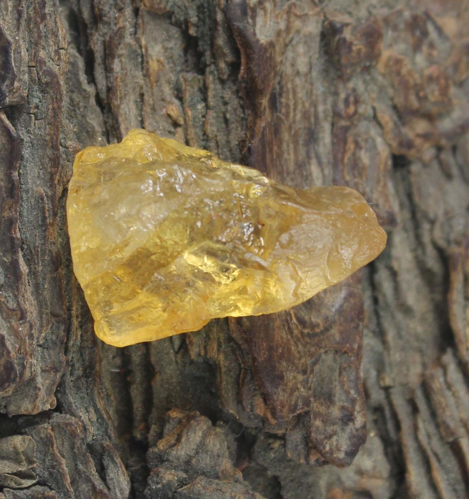 Natural 26.75 Ct Yellow Grossular Garnet Gemstone Rough Certified T37066