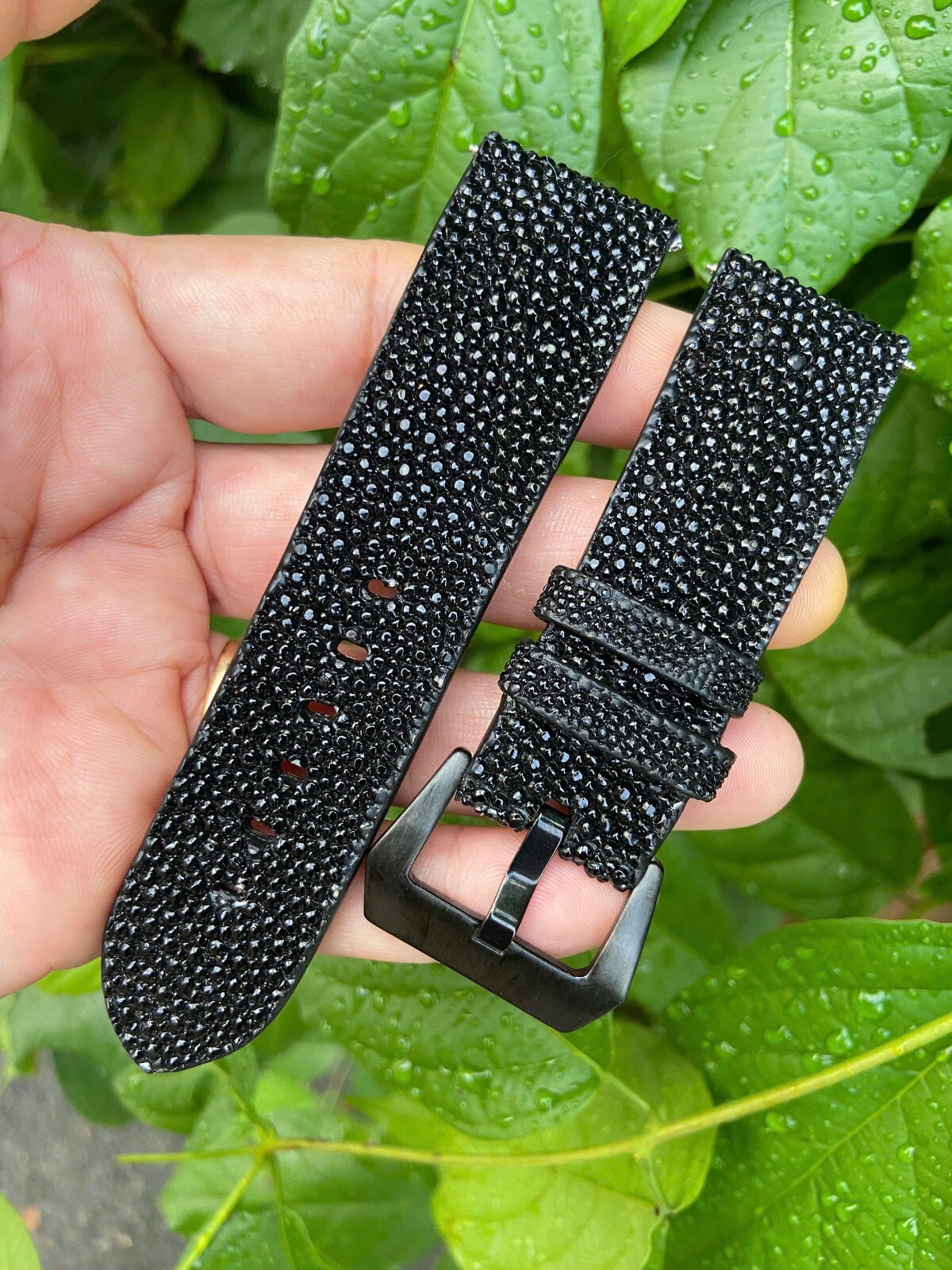 Black Stingray Leather skin Watch Strap Band 12 14 18 19 20 21 22mm 23 24mm 26mm