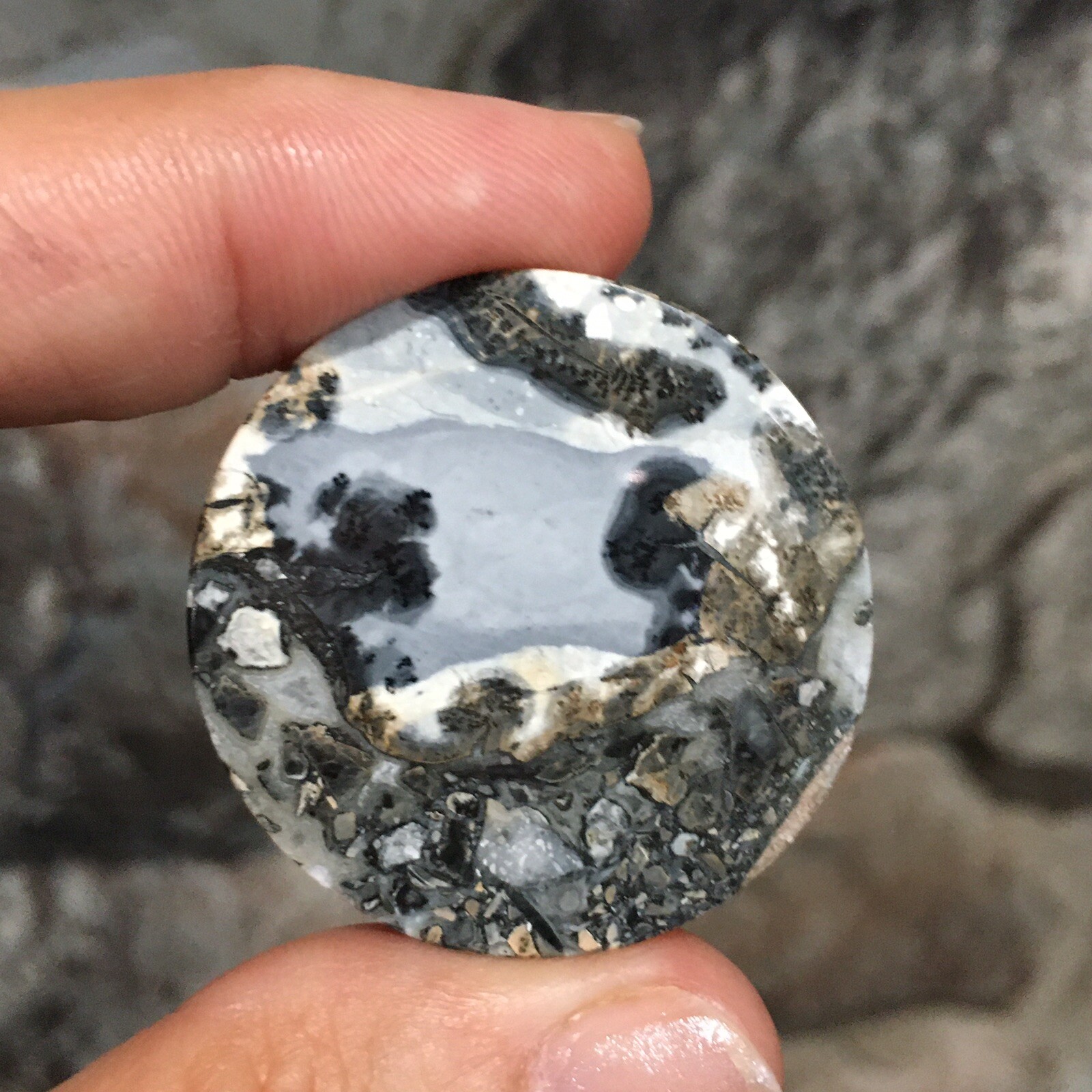 35×5.5mm Collectors’ Fine Maligano Jasper Round Cabochon Picture Stone