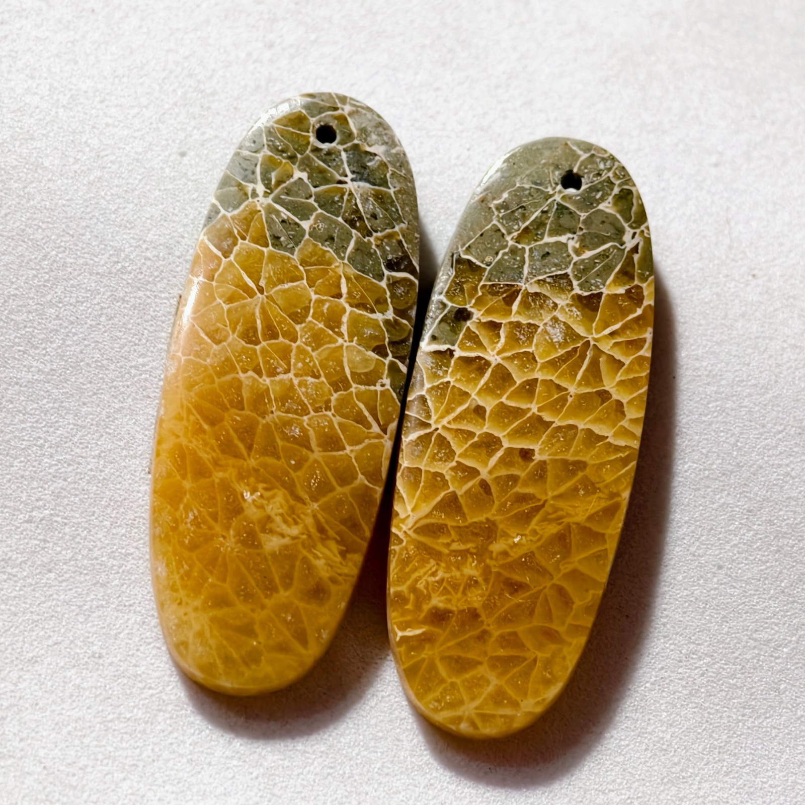 48 Cts Natural Fossilized Coral Drilled Pair Cabochon Gemstone 39.6 X 15.1 MM