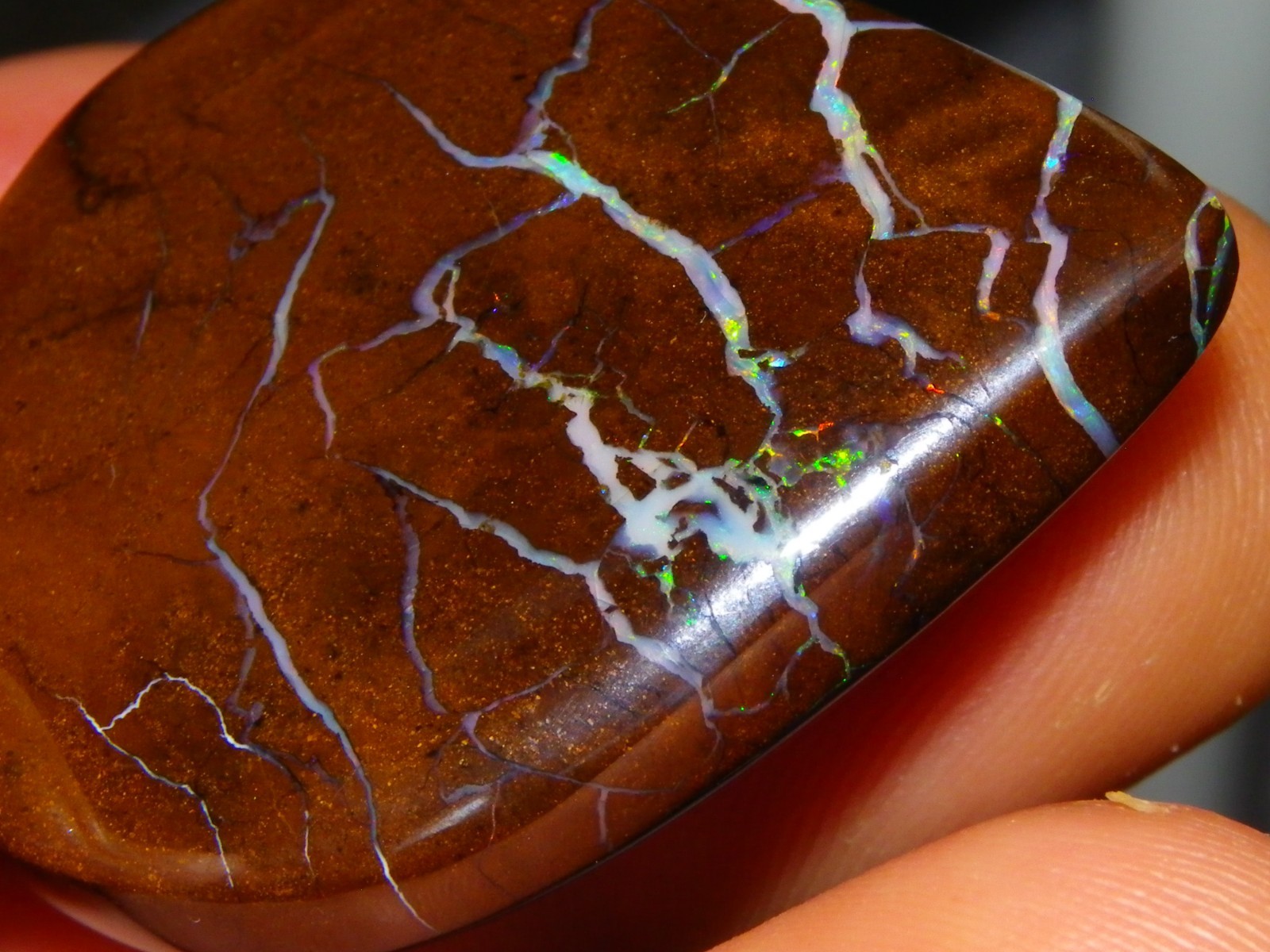 Quality Opalton Boulder Matrix Opal Freeform Cab 128.78cts Multicolour/Veins Qld