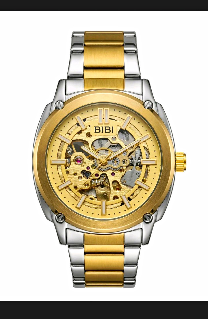 BIBI Automatic Mechanical Skeleton Dial Two-Tone Gold/Silver Bracelet Watch