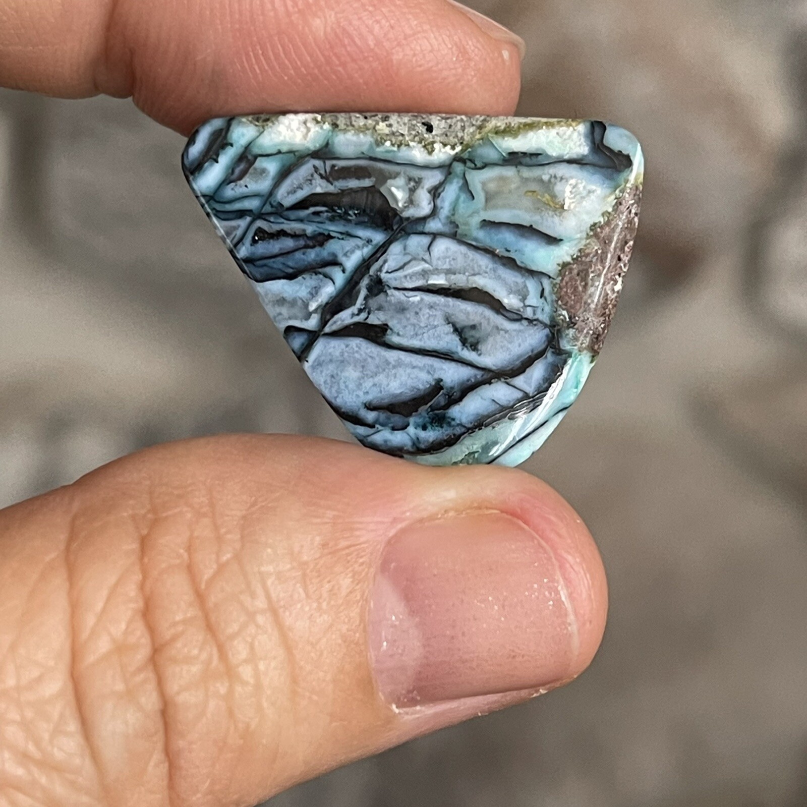 26.5×21.6x5mm Rare Agatized Wood Colorful Chrysocolla Cabochon Picture Stone