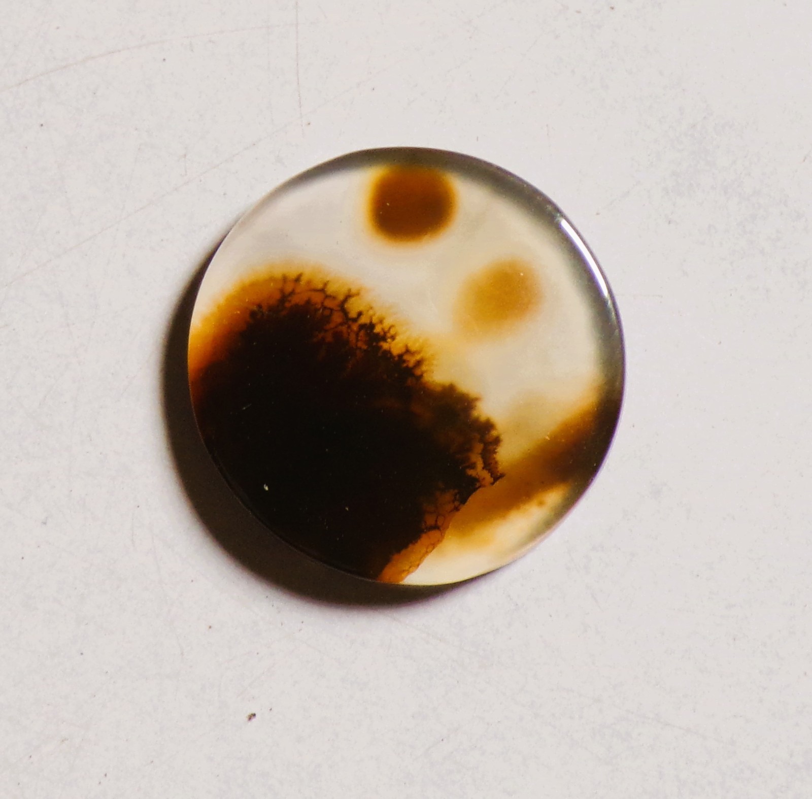 10.00 Cts Natural Shazar Dendritic Agate Cabochon Loose Gemstone 19X19X3.2MM 174
