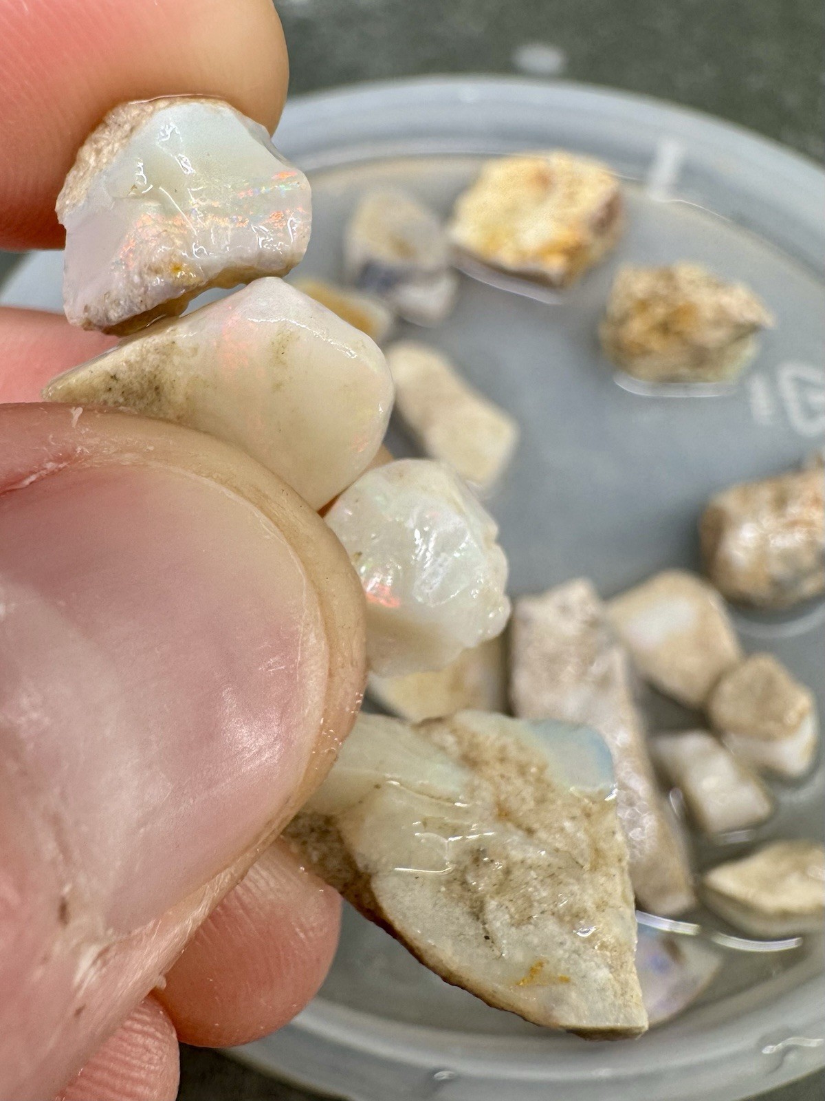 156ct Mintabie Australian Opal Rough Parcel 22pcs Multicolor Old Stock 1oz White