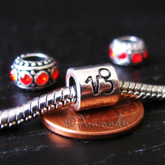 Capricorn Zodiac Bead With December Or Janurary Birthstones For Charm Bracelets