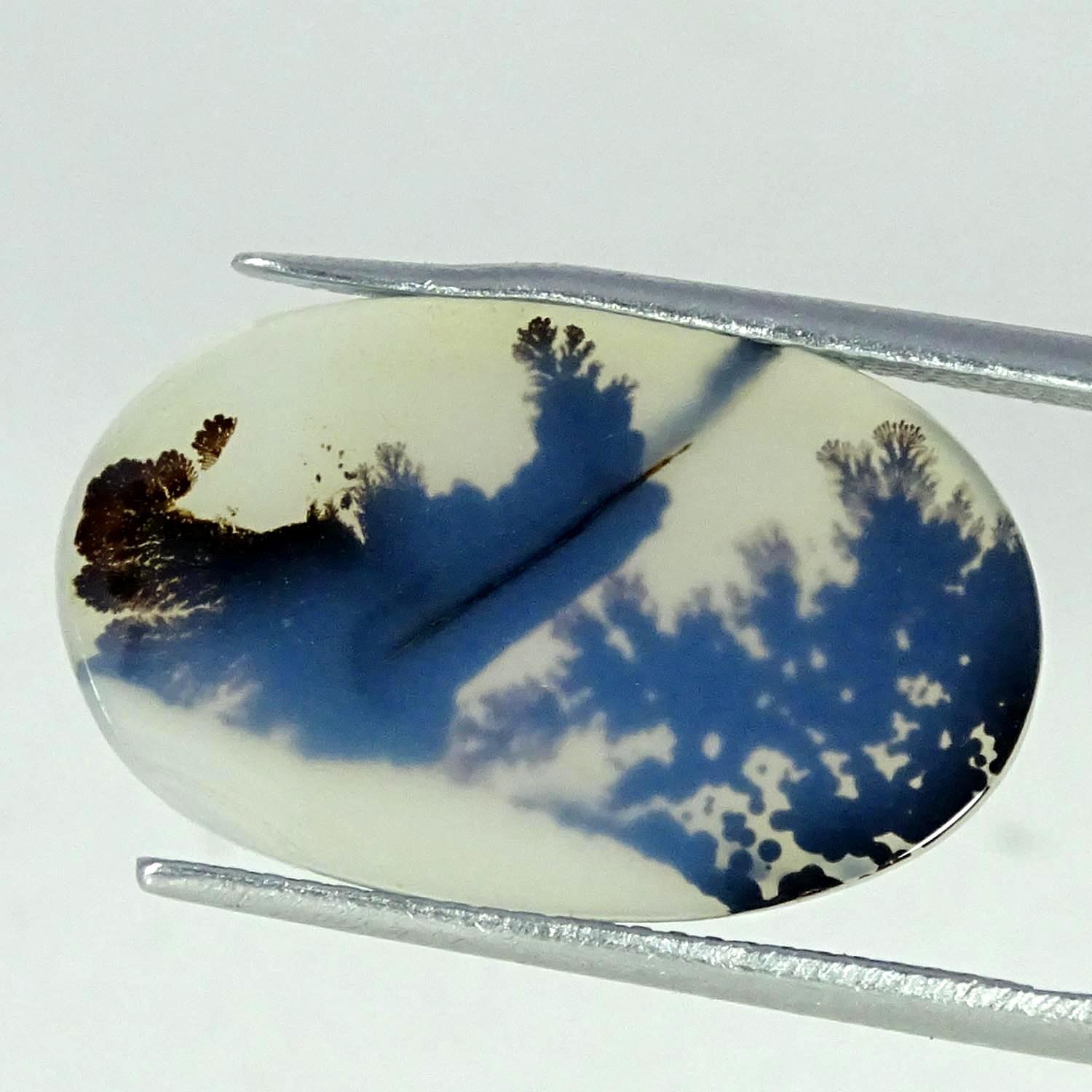 6.40Cts Natural Fantastic Shazar Dendritic Agate Oval Cabochon 13X22X2MM